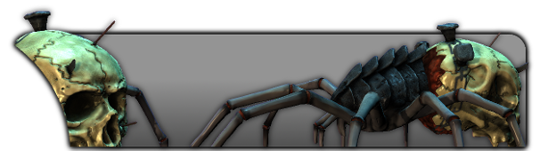 Spider Evolutions